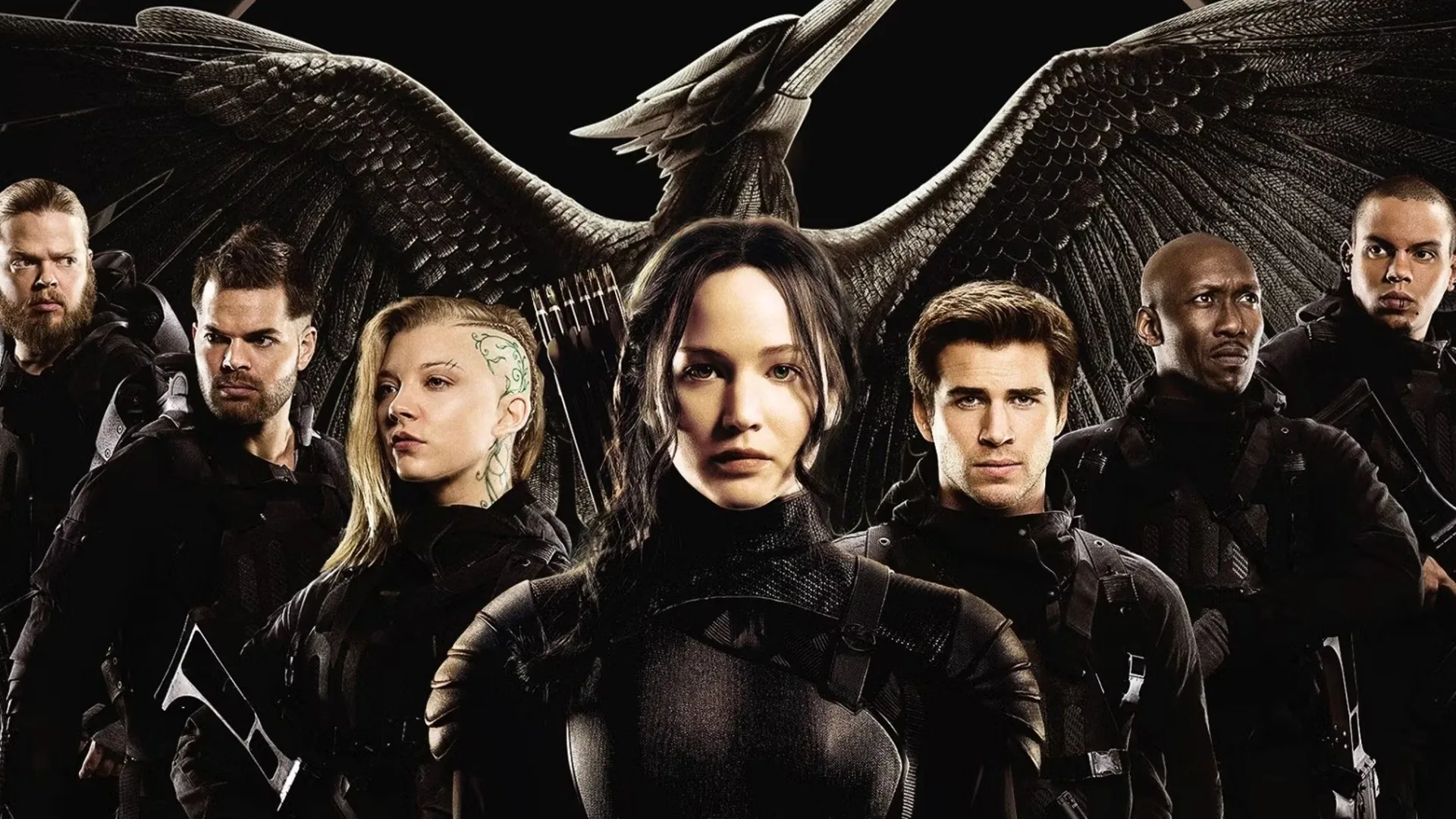 Young Adult the hunger games