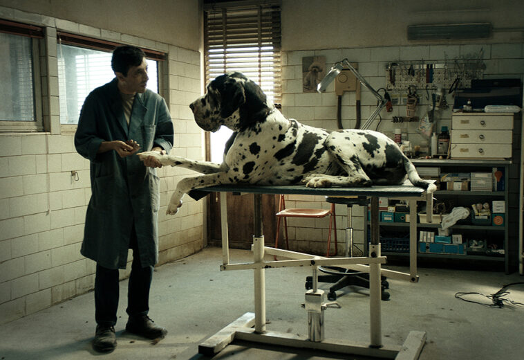 Trailer de la película italiana Dogman de Matteo Garrone, el director de Gomorra