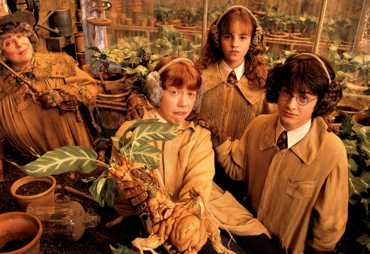 Los 10 mejores momentos de la saga de Harry Potter