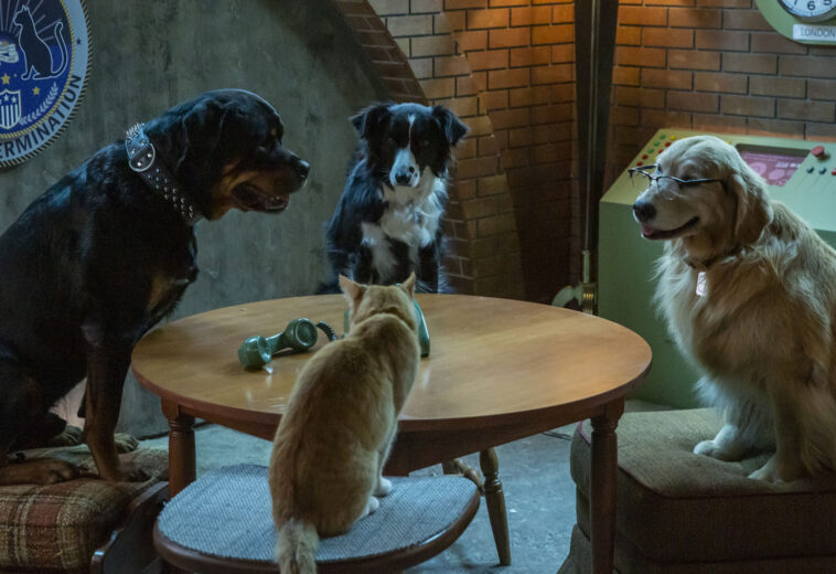 Trailer y fecha de estreno de Como perros y gatos 3: ¡Patas unidas!
