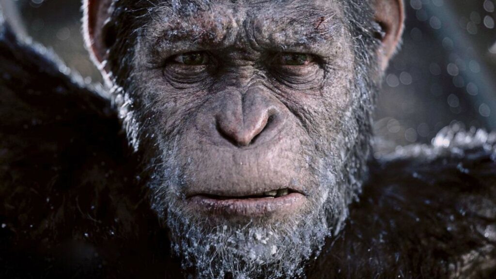 cesar del planeta de los simios en un close up de la película la guerra