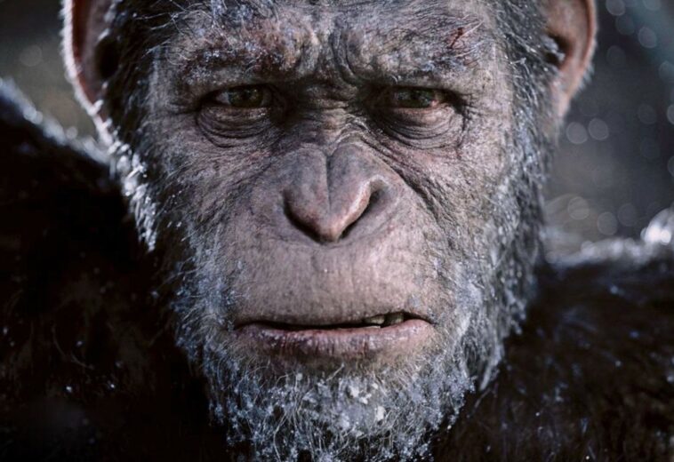 ¡Pero qué rápidos! Arranca el rodaje de Kingdom of the Planet of the Apes en Australia