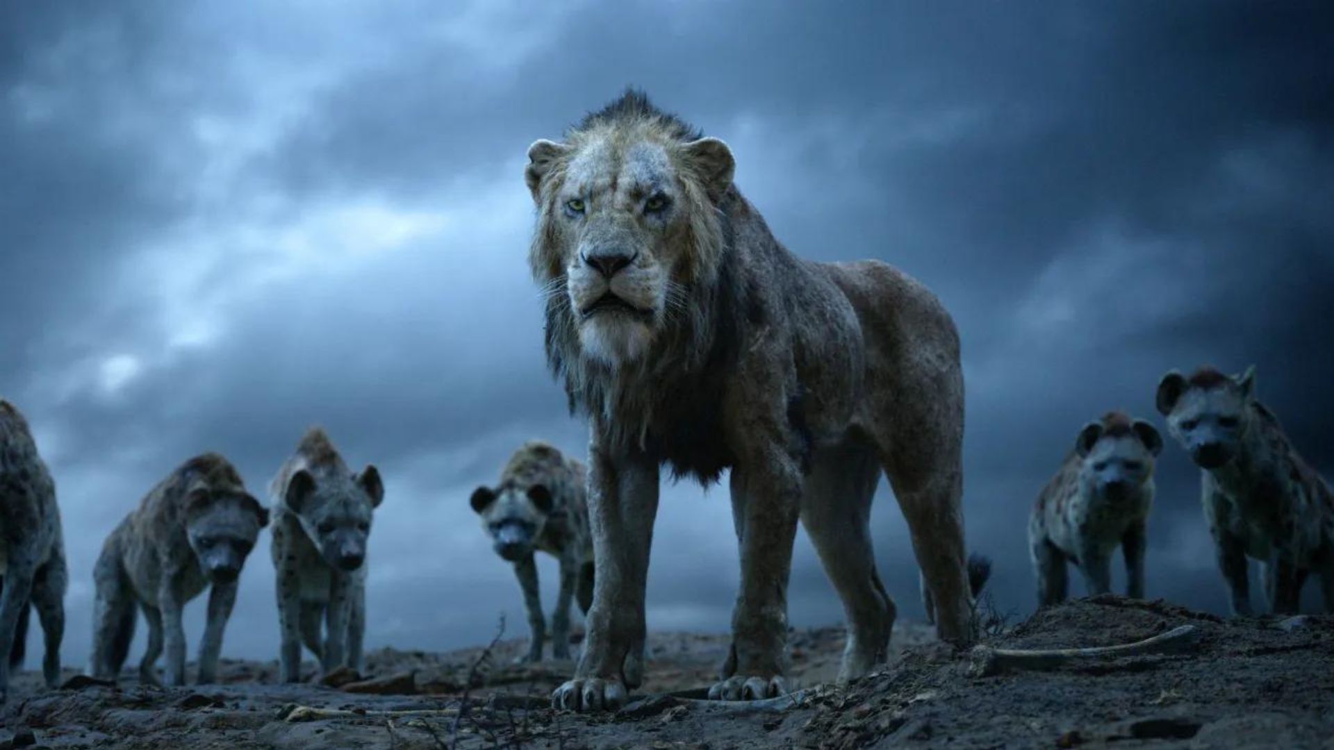 Primeros detalles de 'Mufasa', la precuela de 'El rey león' que dirige  Barry Jenkins