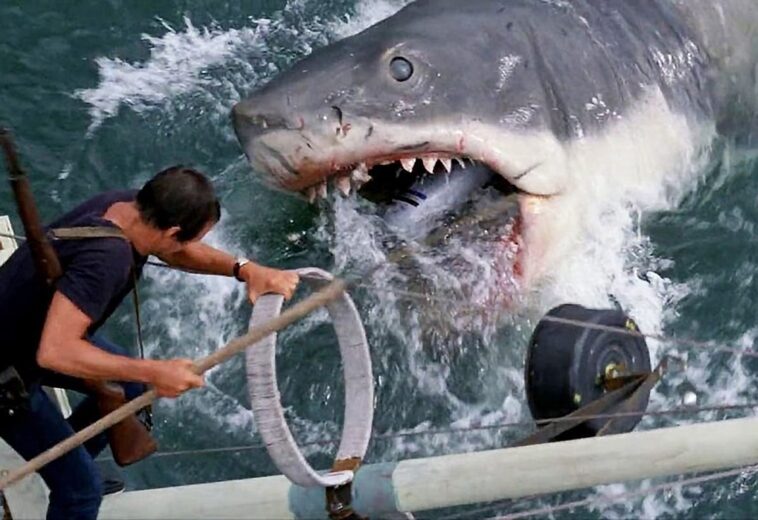 Tiburón: La obra maestra del cine y sus cuestionables secuelas