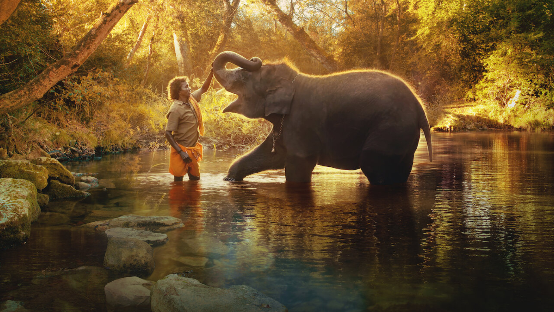 The-Elephant-Whisperers-mejor-cortometraje-documental