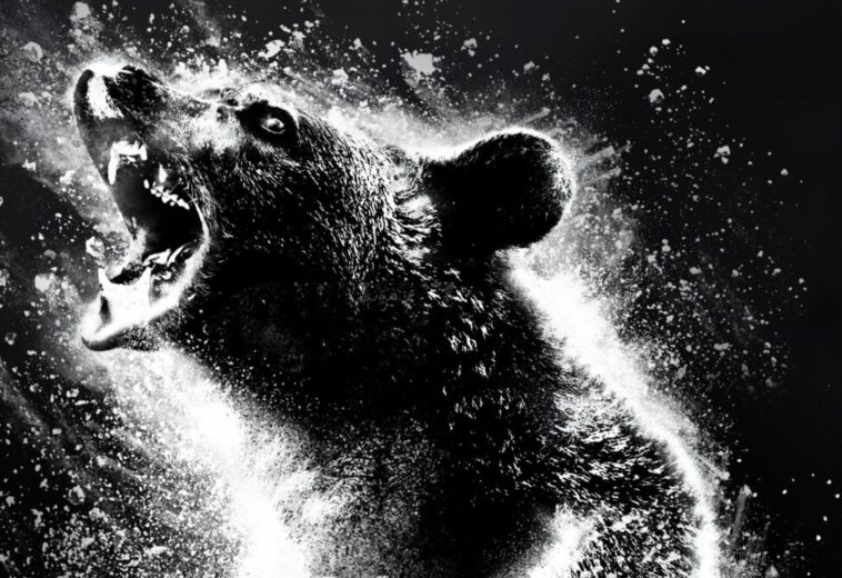 Los osos más famosos del cine