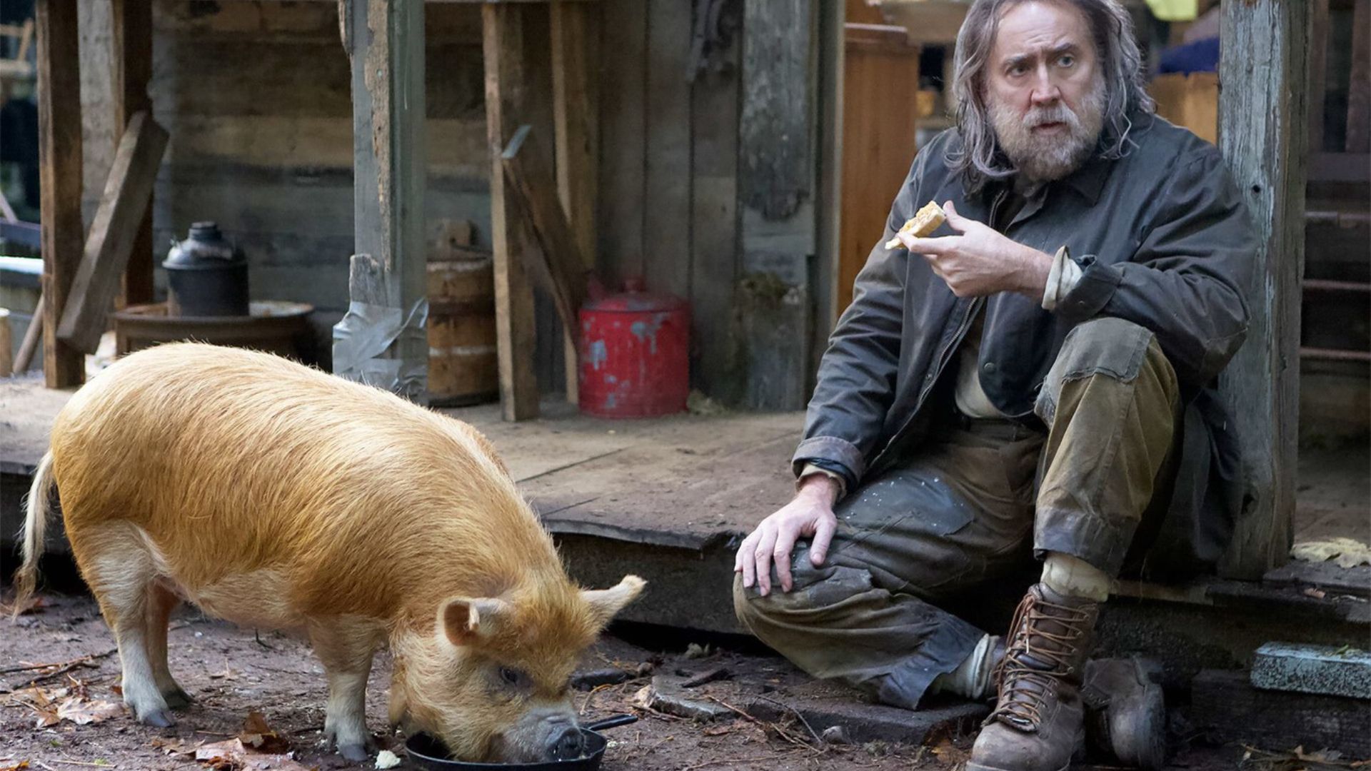 Nicolas Cage en una escena de la cinta Pig