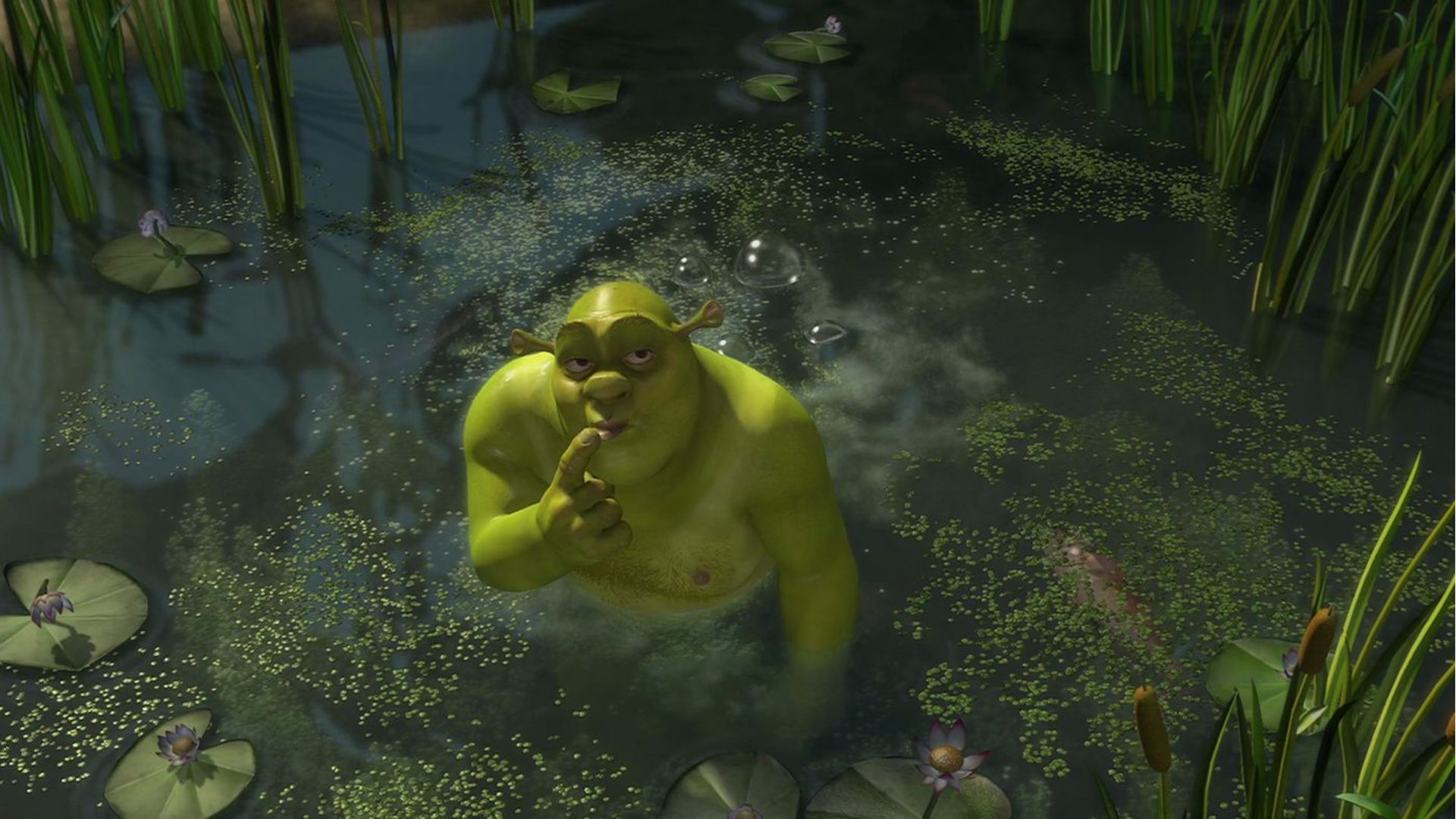 Shrek en su pantano en una escena de la pelicula