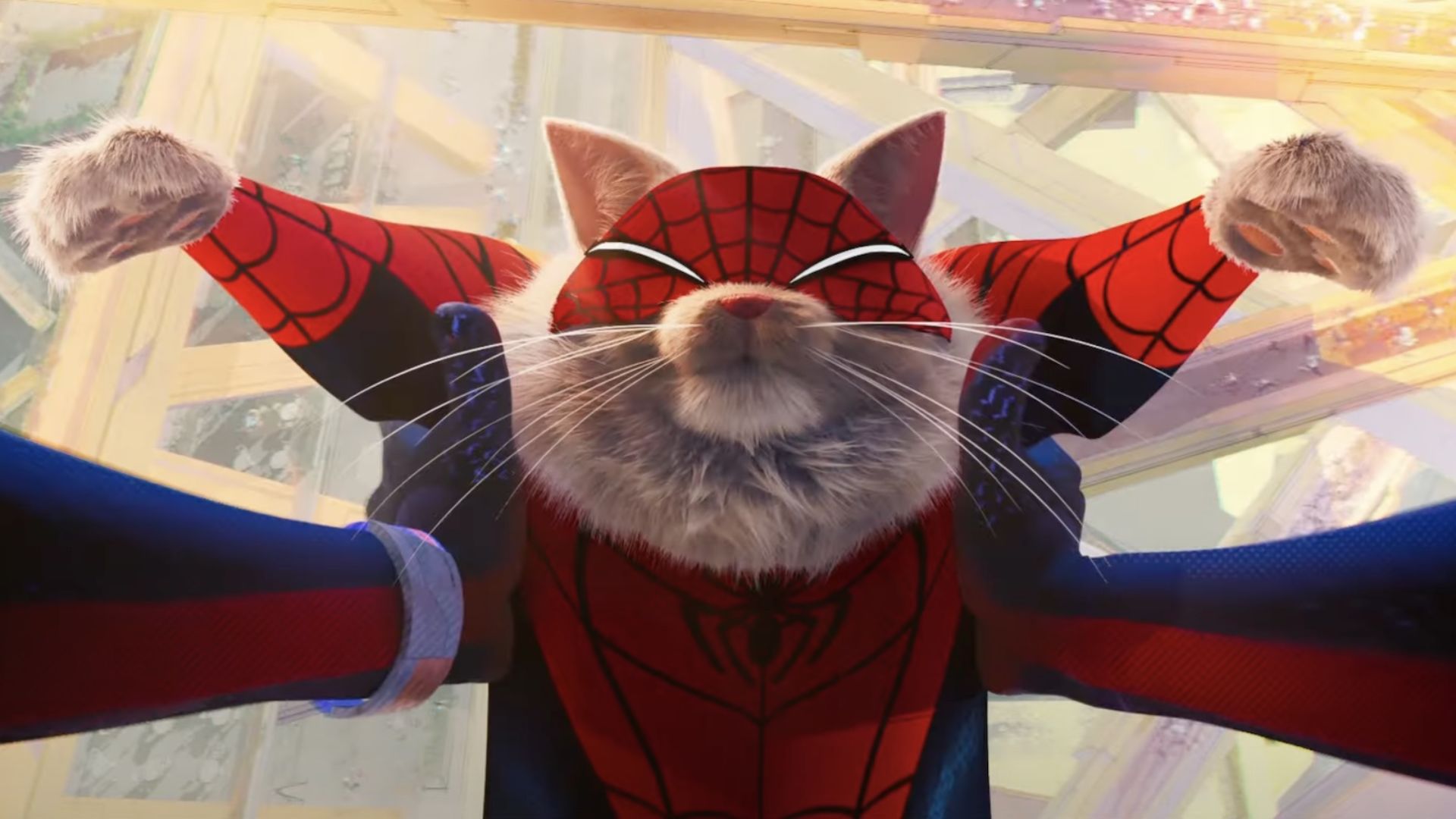 Spider-Cat sonriendo