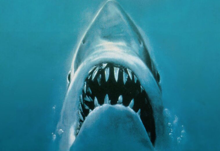 ¡Sumérgete en el terror acuático! 7 películas sobre tiburones que te harán temblar