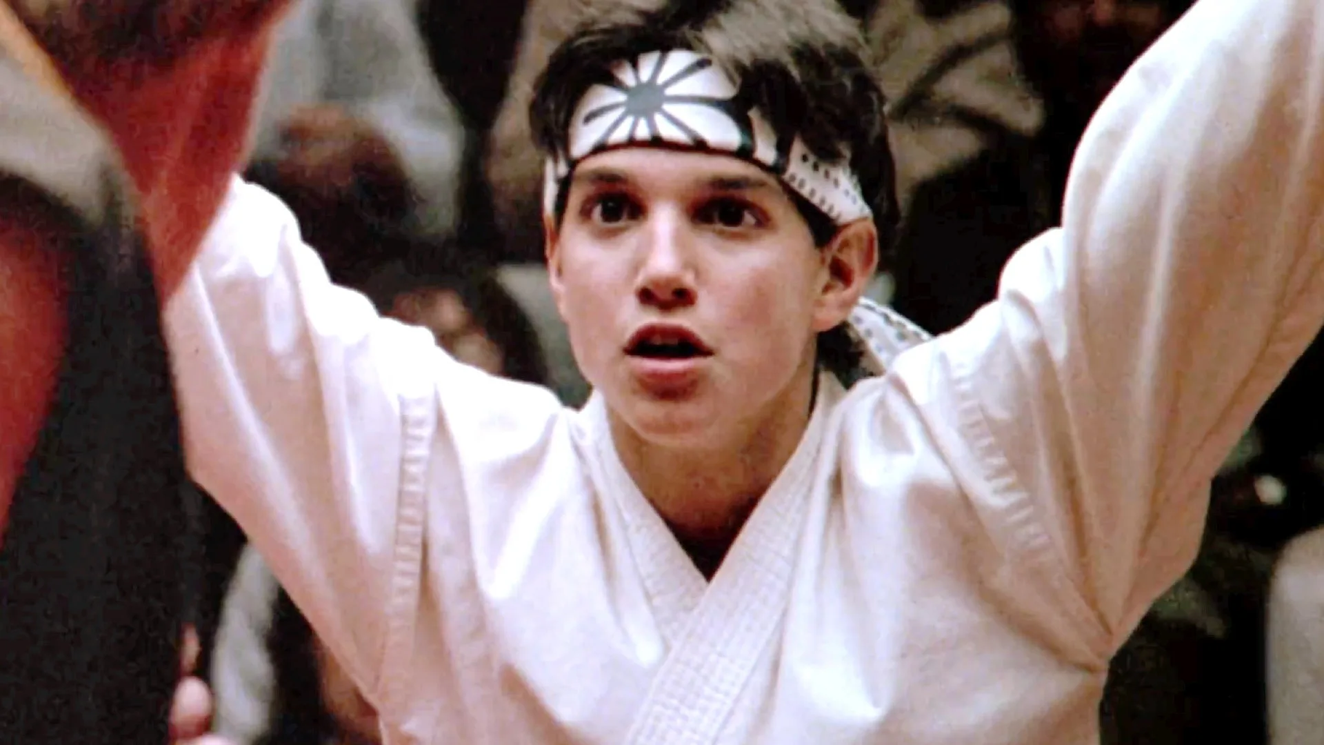 Karate Kid Ralph Macchio entrenando