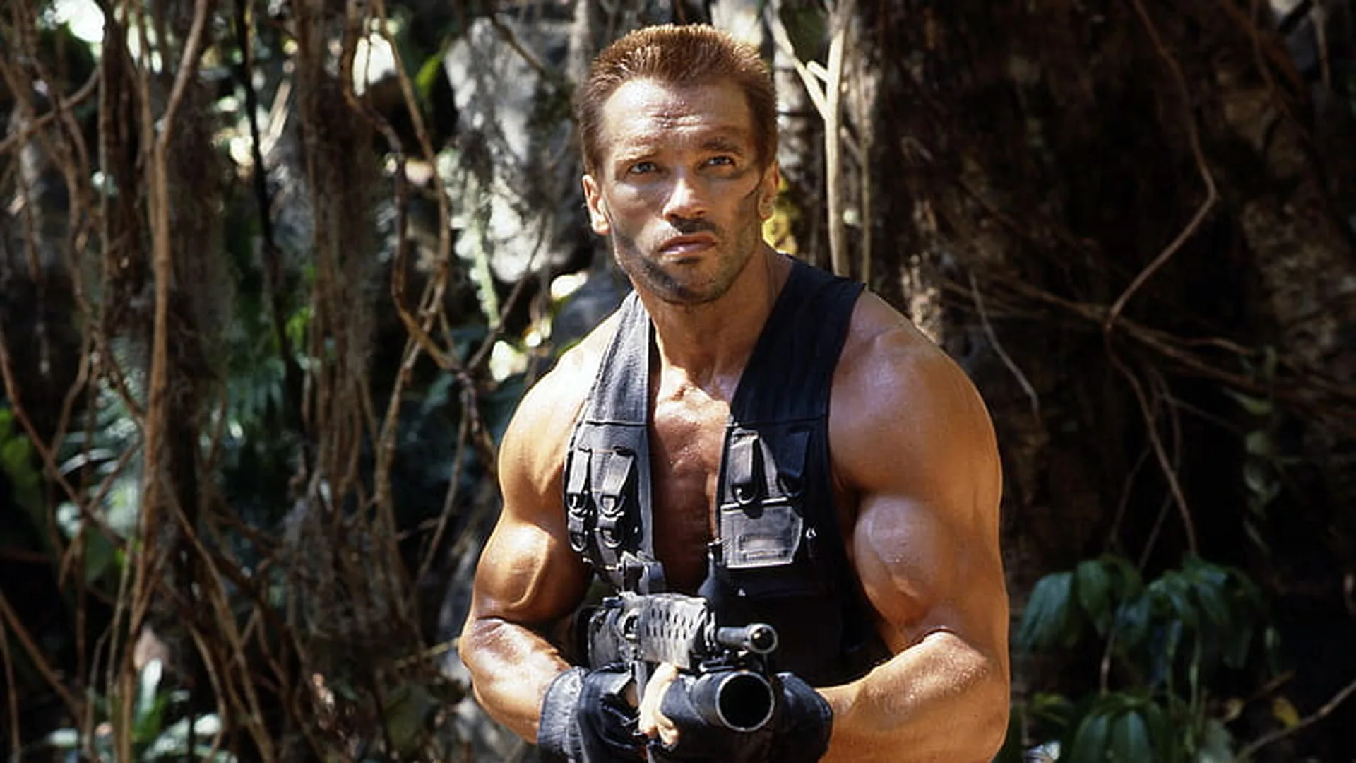 Arnold Schwarzenegger películas