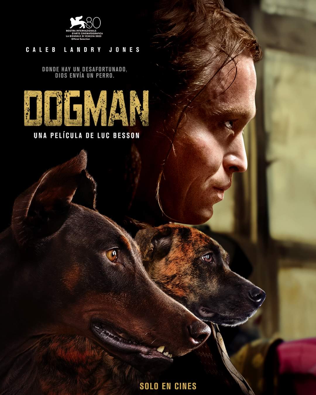 Dogman película póster