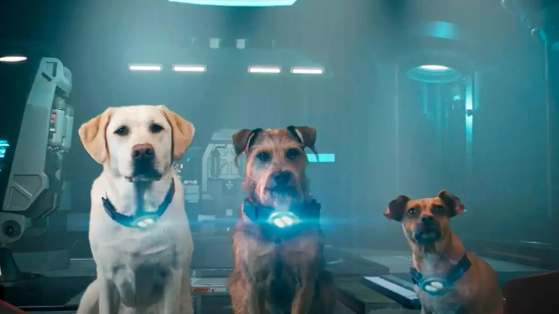 Perros en Space pups.