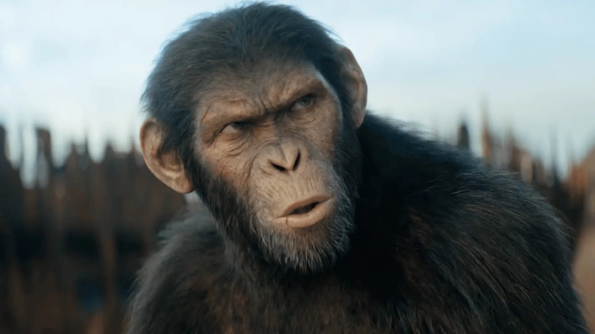 CinemaCon 2024 anuncios Planeta de los simios