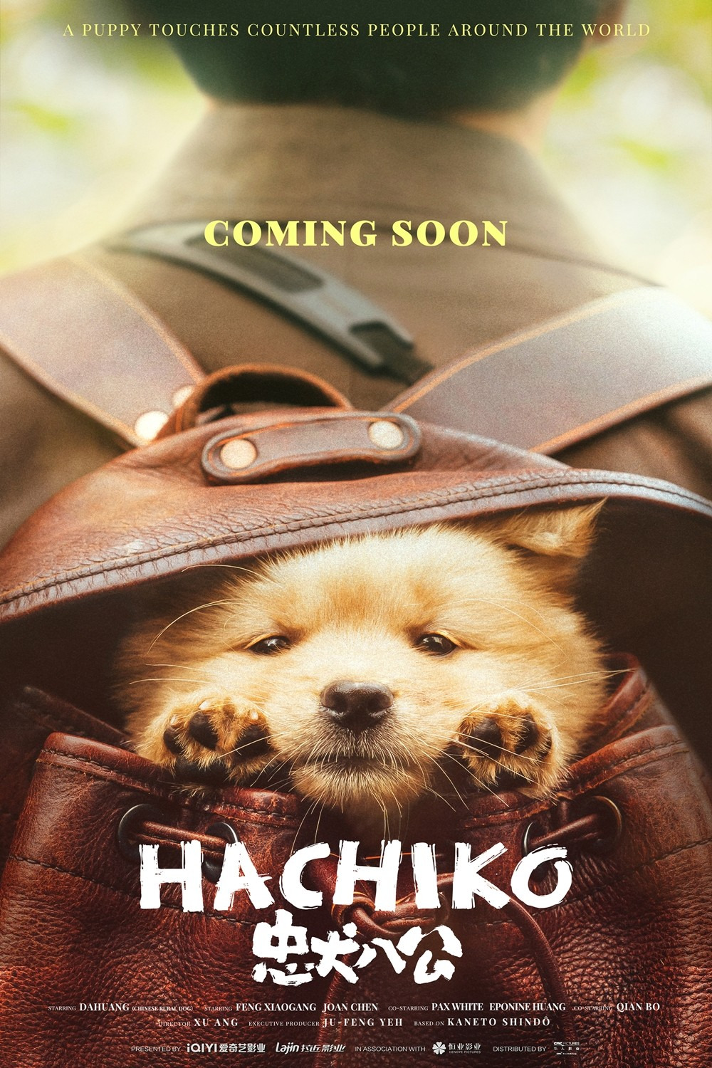 poster Hachiko